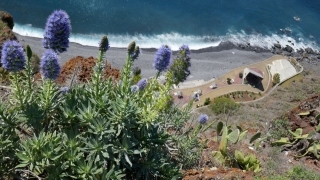 Kanaren_Madeira2_127