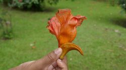 P1130808
