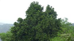 P1140016