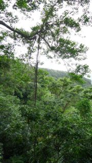 P1140023