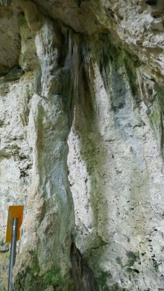 P1140482
