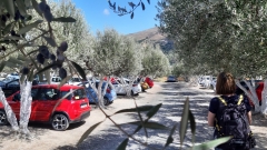 Parken im Olivenhain