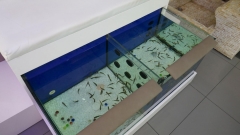 FishSpa