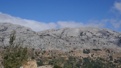 P1110739