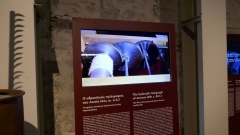 Museum Kotsanas