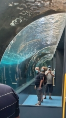 Creta Aquarium