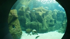 Creta Aquarium