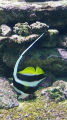 Creta Aquarium