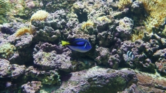 Creta Aquarium