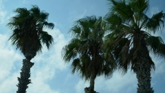 Bari_20210907