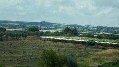 Bari_20210907