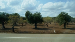 Bari_20210907