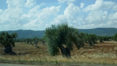 Bari_20210907