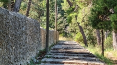 Split_20210910