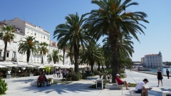 Split_20210910