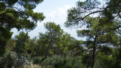 Split_20210910
