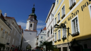 Wachau_202000911_011_P1090600