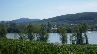 Wachau_202000911_021_P1090608
