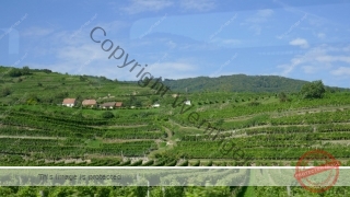 Wachau_202000911_036_P1090624