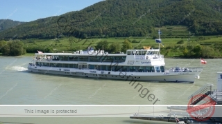 Wachau_202000911_071_P1090650