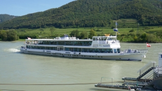 Wachau_202000911_071_P1090650