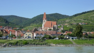 Wachau_202000911_081_P1090659