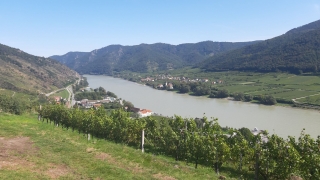 Wachau_202000911_130_20200911_131034