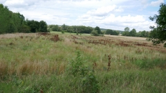P1100669