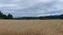 img1628066854514