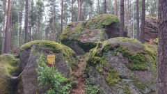 img1628067226997