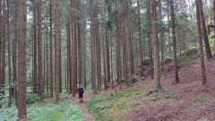 img1628073222082
