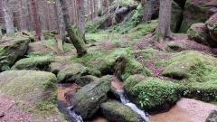 img1628073750971