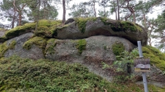 img1628075683938