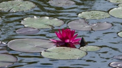 P1100702