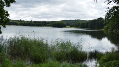 P1100778