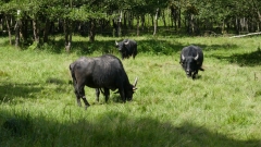 P1100789