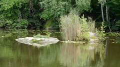 P1100836