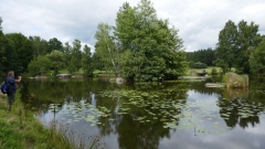 P1100841