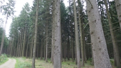P1100880