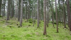 P1100883