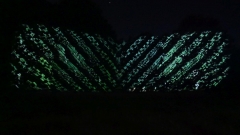 P1110132