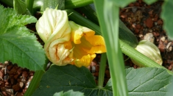 P1100573