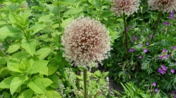 P1100588