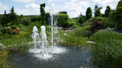 P1100590