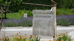 P1100609