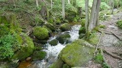 P1100400