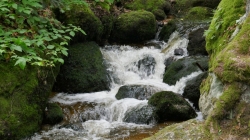 P1100403