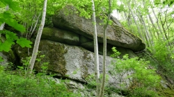 P1100409
