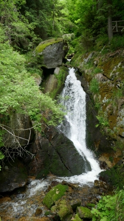 P1100434