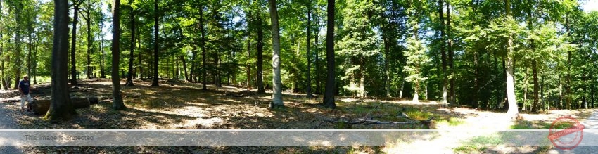 Ausflug in den Lainzer Tiergarten